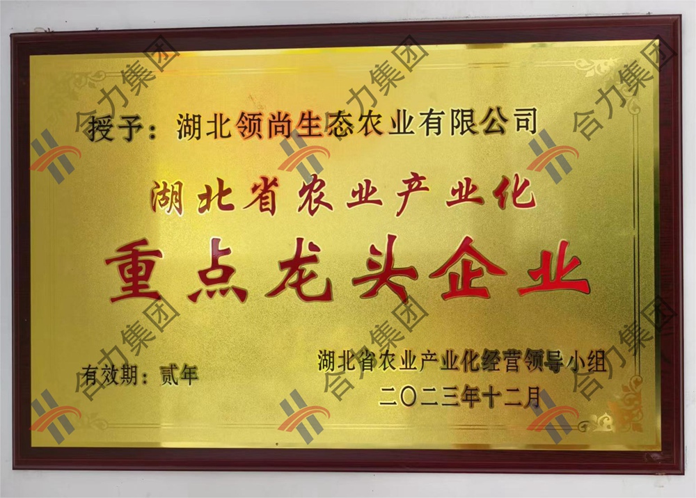 湖北省农业产业化重点龙头企业