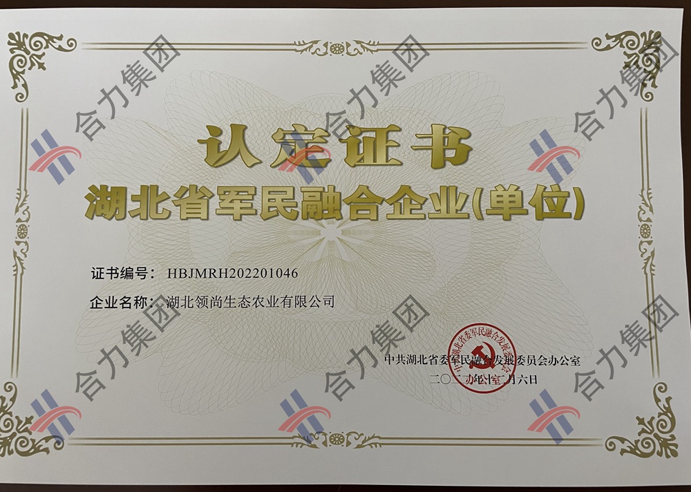 湖北省委授予军民融合企业